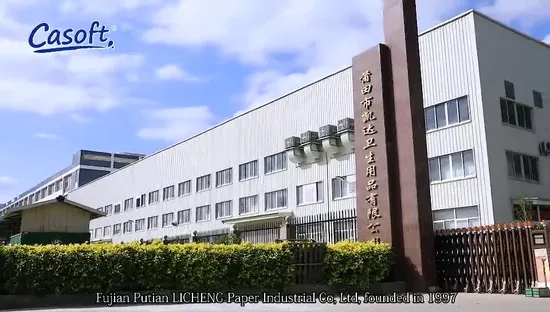 Disposable Adult Diaper with "S" Cut Manufacturer for Elderly People Cheap Price Free Sample Print PE Back Sheet in China